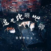 Laita cover