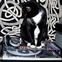 Kamelion dJ cover