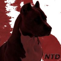 Name That Dawg cover
