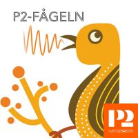 P2-fågeln cover
