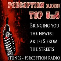 P3RC3PTION Radio cover