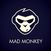 MadMoonkey cover