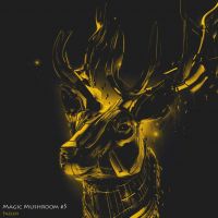 Magic Mushroom cover