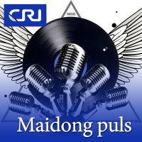 Maidong puls cover
