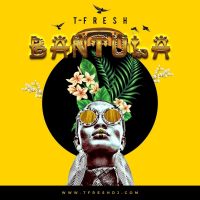 The T-Fresh Series Mixes cover