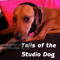 Tails of the
Studio Dog cover