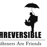 Radio Irreversible cover