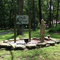 Pine Wind Zen Community Audio cover