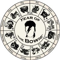 Year of the Bowie (The Life of David Bowie) cover