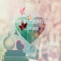 Veshine cover