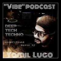 Vibe cover