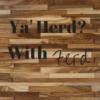 You Heard with Ferd cover