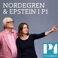 Nordegren & Epstein i P1 cover