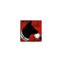 Barrio Canino cover