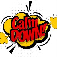 Calm Down I'm Just Serious cover