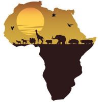 Africa As We Know It cover