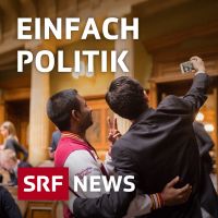 Einfach Politik cover