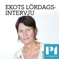 Ekots lördagsintervju cover
