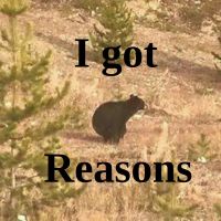 I Got Reasons cover