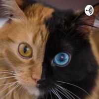 Gerrick's Podcast cover