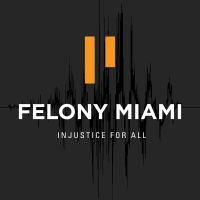 Felony Miami cover