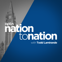 Nation To Nation cover