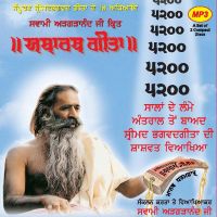 Bhagavad Gita Punjabi cover