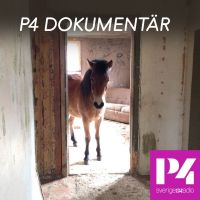 P4 Dokumentär cover