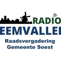 Raadsvergadering Gemeente soest by Radioeemvallei cover