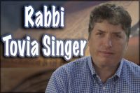 Rabbi Tovia Singer cover