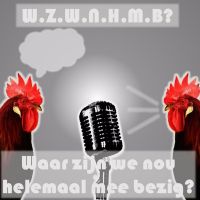 Waar zijn we nou helemaal mee bezig? cover