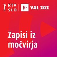 Zapisi iz močvirja cover
