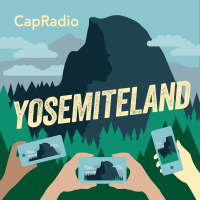 YosemiteLand cover