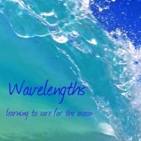 Wavelengths: Ocean Podcast cover