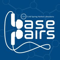 Base Pairs cover
