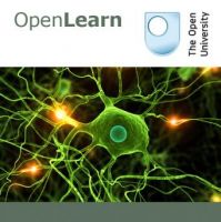 Addiction and neural ageing - for iBooks cover