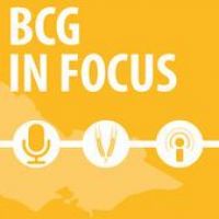 BCG in focus cover