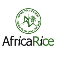 AfricaRice Audio Podcasts cover