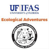 Ecological Adventures cover
