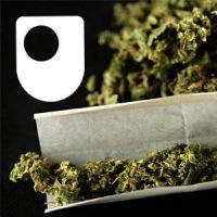 Cannabis, Consciousness and the Imagination - for iPod/iPhone cover