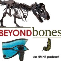 Beyond Bones Podcast cover