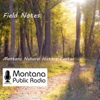 Field Notes from the Montana Natural History Center cover