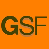 Gayrisafi Fikirler cover