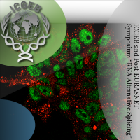 ICGEB 2nd Post-EURASNET Symposium "RNA Alternative Splicing" cover