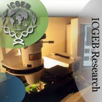 ICGEB Research cover