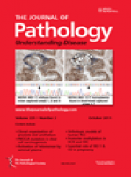 Journal of Pathology - June 2011 cover
