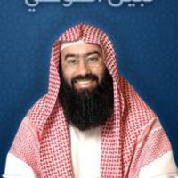 السيرة النوبية - نبيل العوضي cover