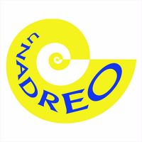 Le podcast Unadreo de la Recherche en orthophonie cover