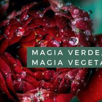 Magia verde, magia vegetal cover