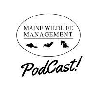 Maine Wildlife Management Podcast cover